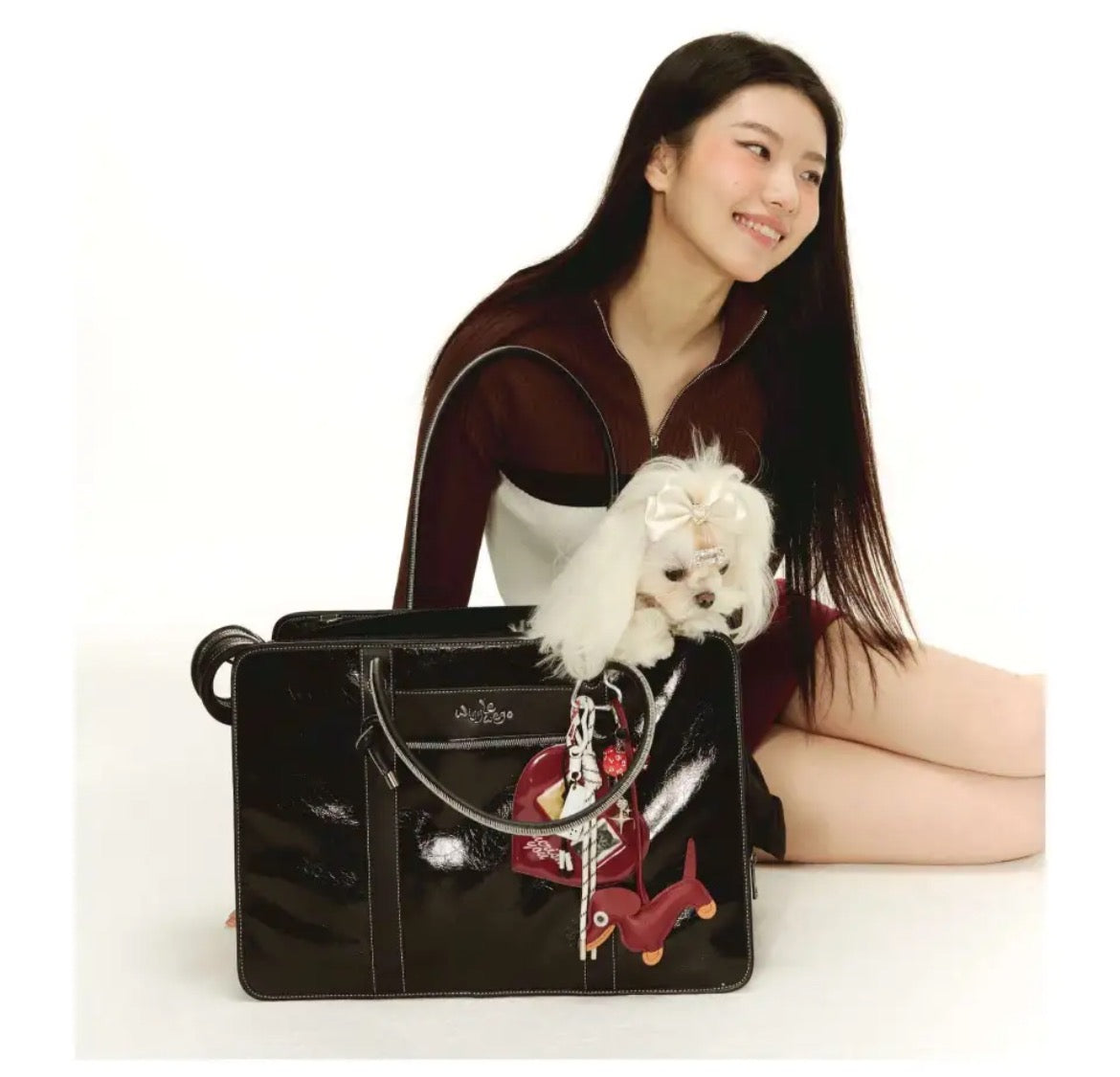 PawsCube Pet Business Tote Bag: Scratch-Resistant Polyester, Expandable Design for Small Dogs & Cats